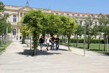 IEJ Avignon